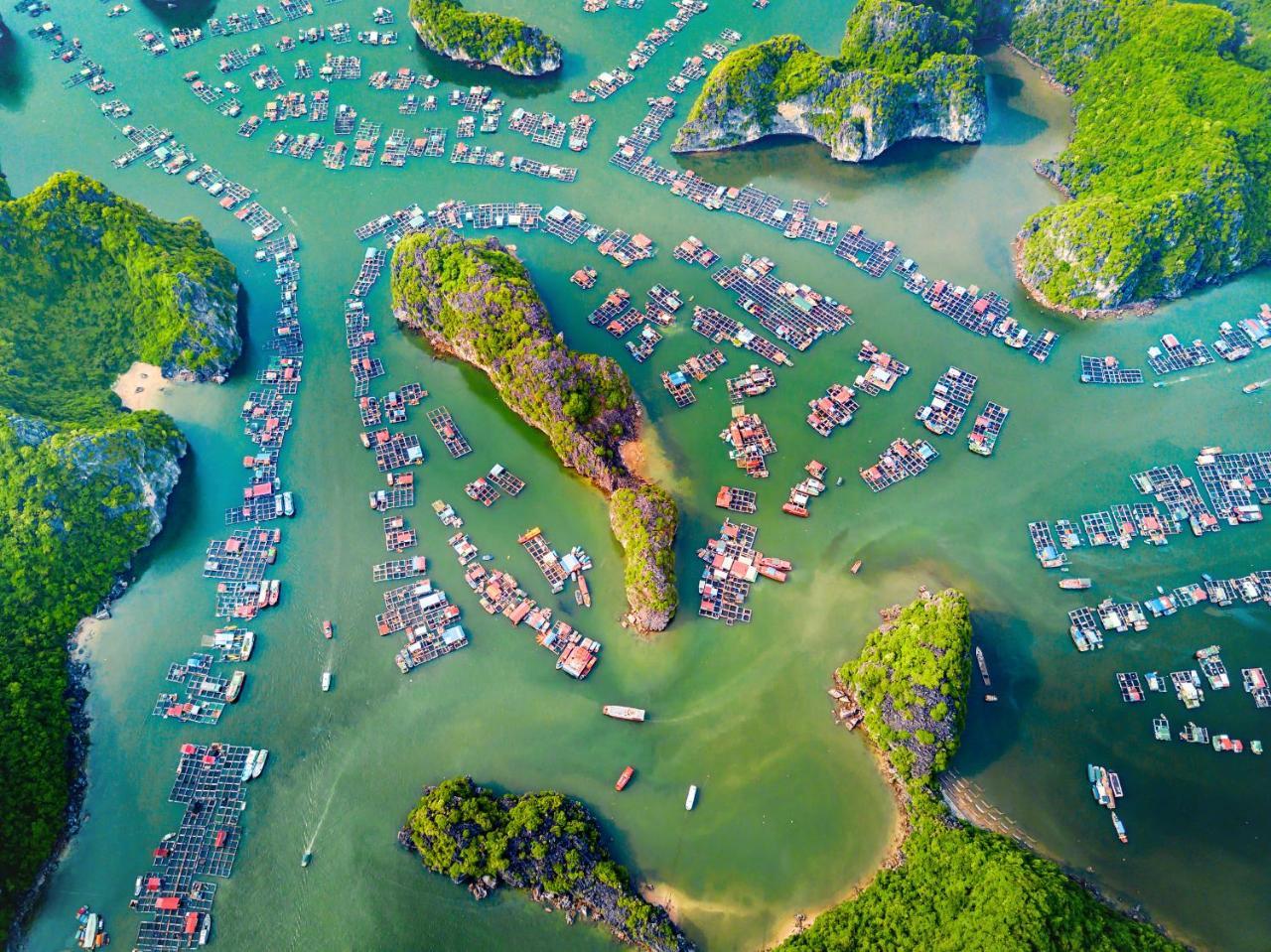 Alibaba'S Hotel Cat Ba Island Eksteriør bilde